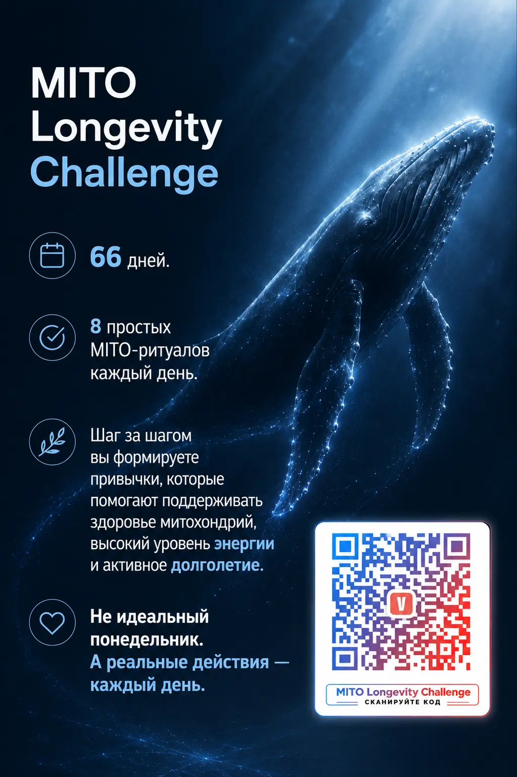 Сверкающий кит — символ MITO Longevity Challenge 66