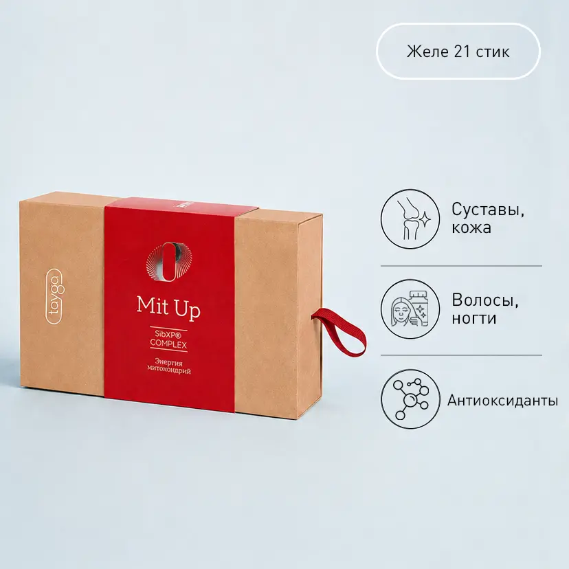 Упаковка T8 ERA MIT UP VILAVI
